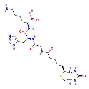 Reference molecular structure illustration for Biotinoyl Tripeptide-1